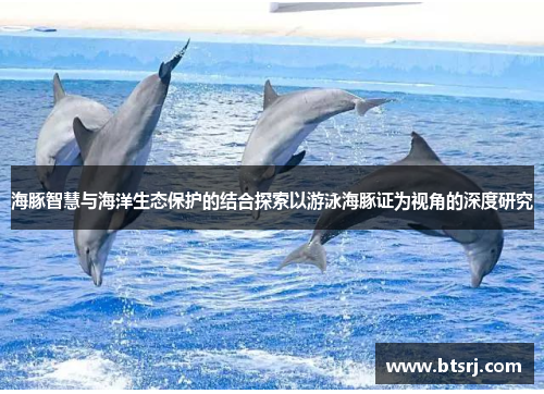 海豚智慧与海洋生态保护的结合探索以游泳海豚证为视角的深度研究
